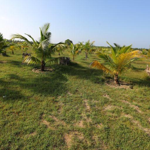 Kayjay Palms Hotel Passikudah Exterior photo